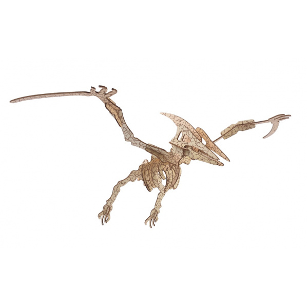 Woodcraft Dřevěné 3D puzzle Pterosaur